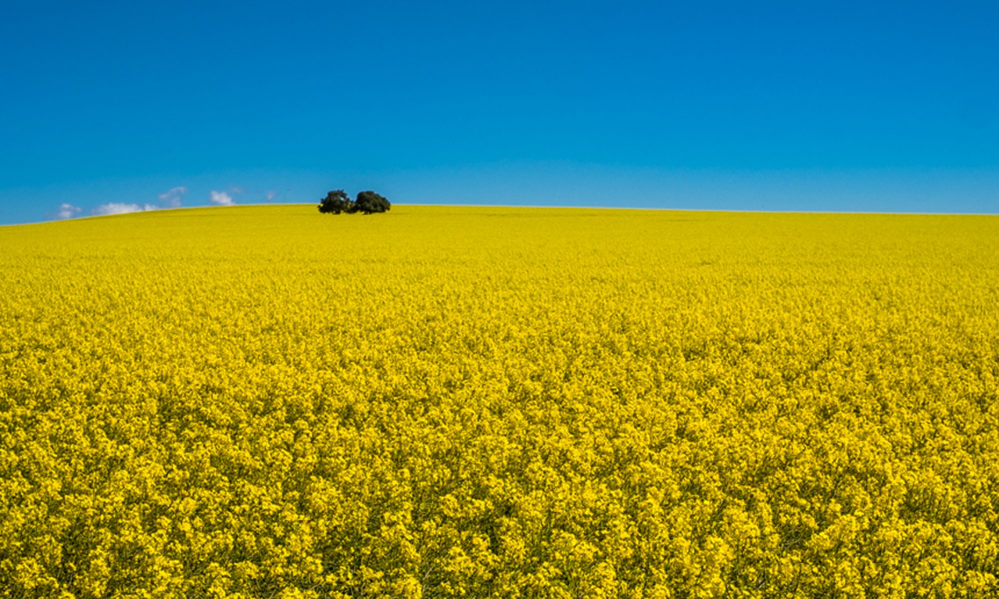 Katanning Foursquare Church